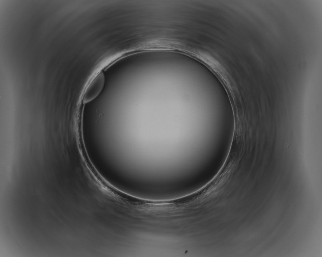 X0000088471486200705221353