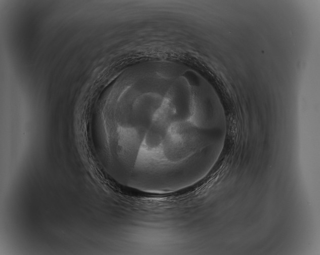 X0000088471489200705221352