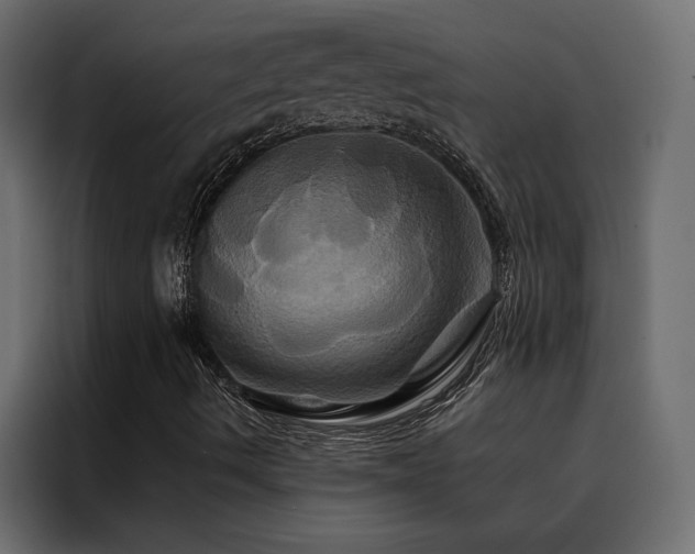 X0000088471490200705221352