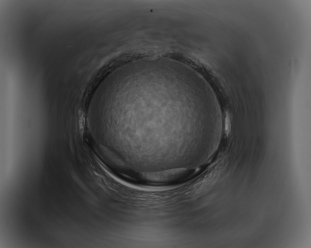 X0000088471492200705221352