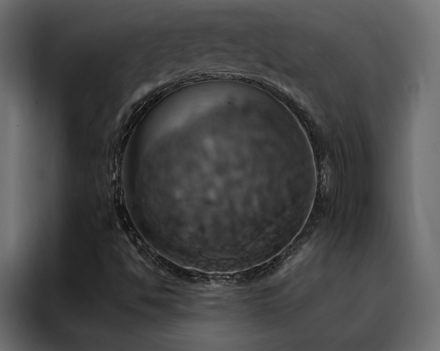 X0000088471494200705221352
