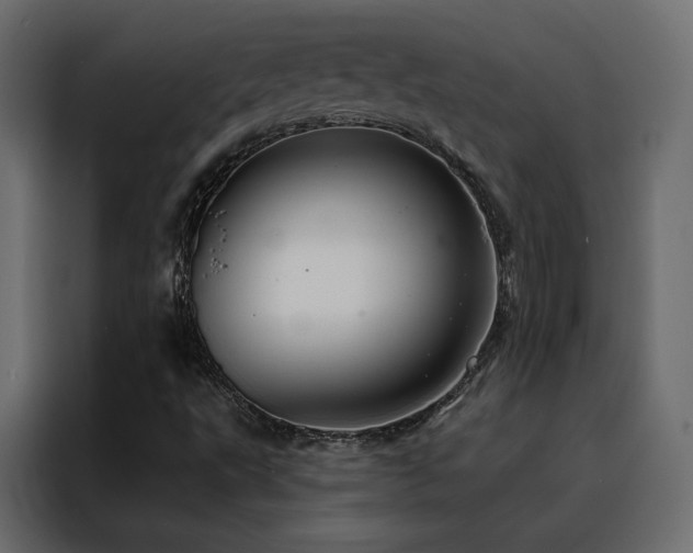 X0000088471495200705221352