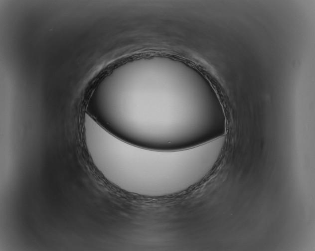 X0000088471496200705221352