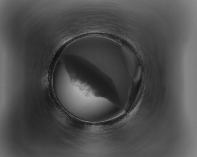 X0000088471497200705221352