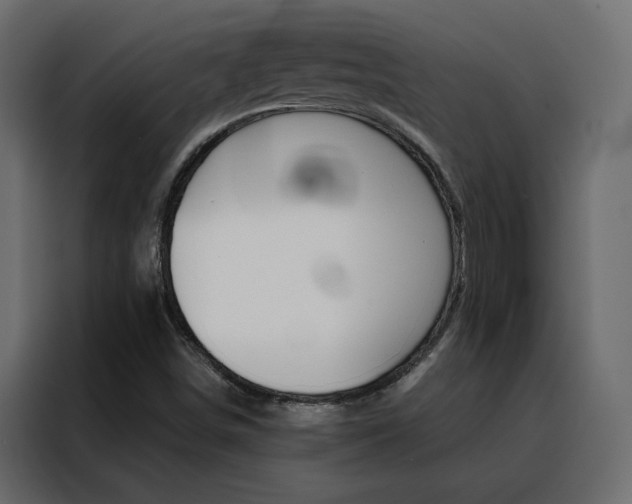 X0000088471498200705221352