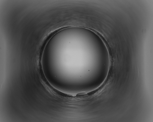 X0000088471499200705221352
