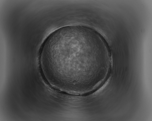 X0000088471501200705221352