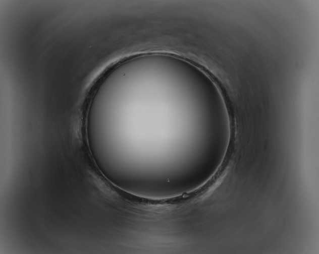 X0000088471502200705221352
