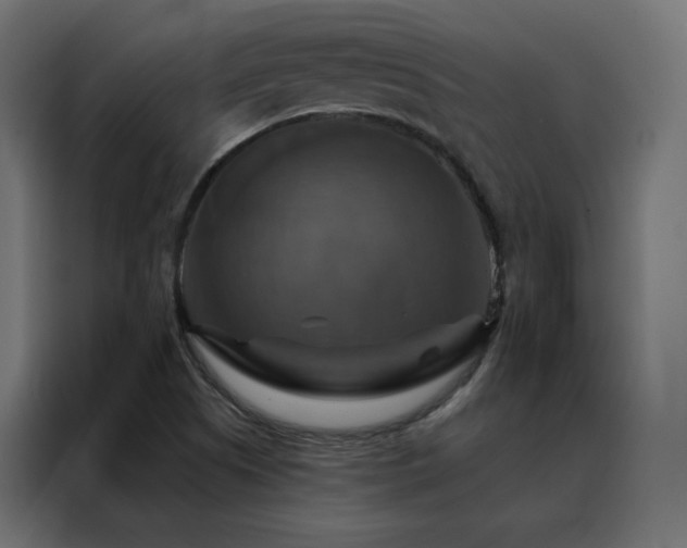 X0000088471505200705221352