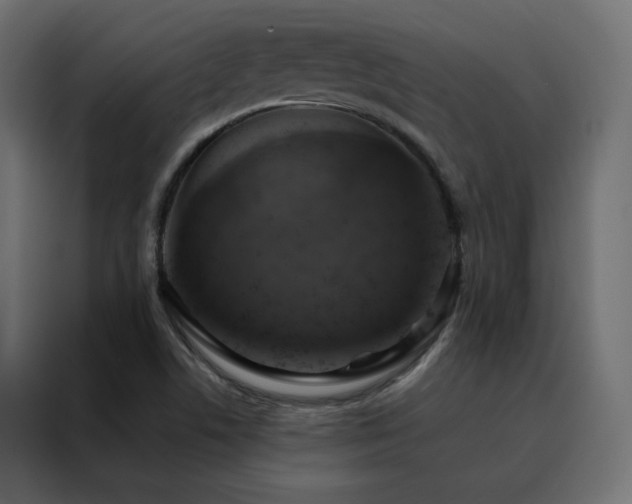 X0000088471506200705221352