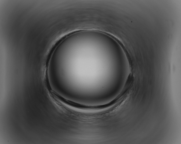X0000088471507200705221352