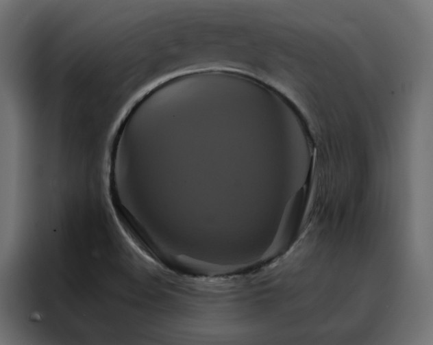 X0000088471508200705221352
