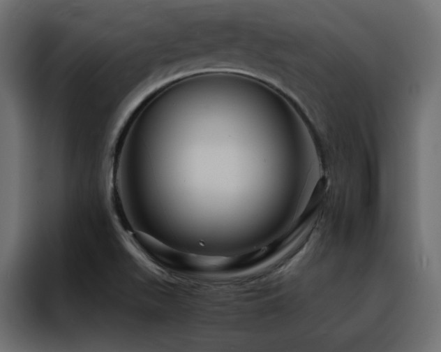 X0000088471511200705221352