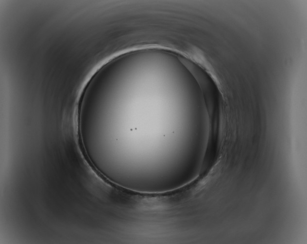 X0000088471516200705221352