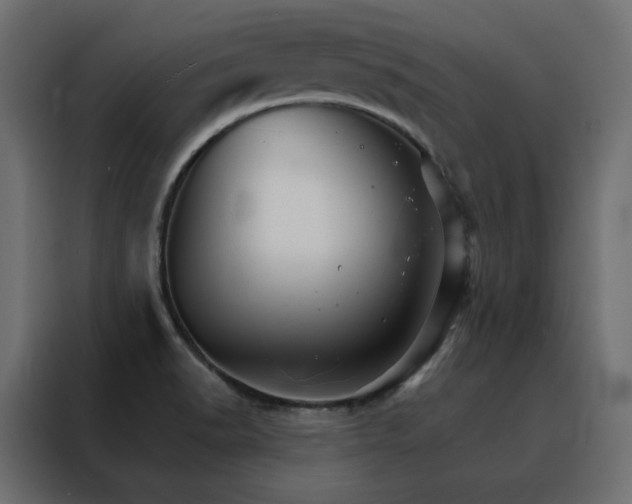 X0000088471518200705221352