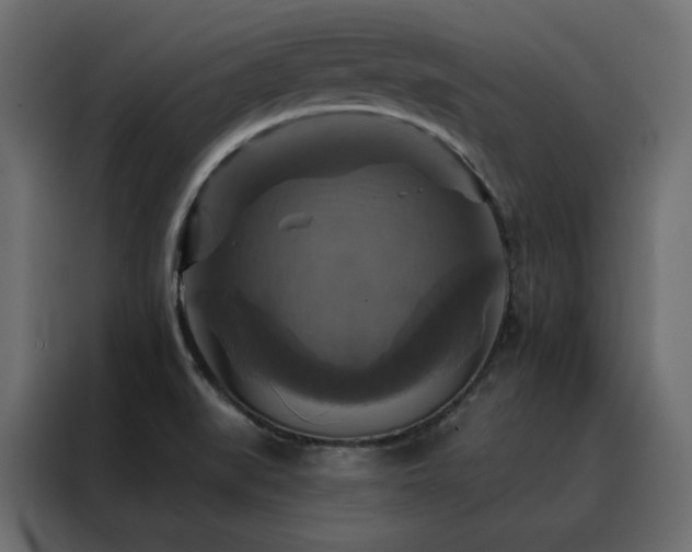 X0000088471519200705221352