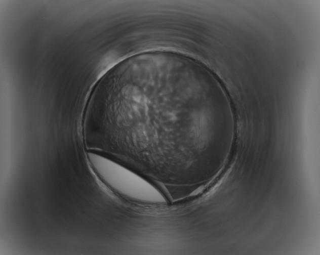 X0000088471521200705221352