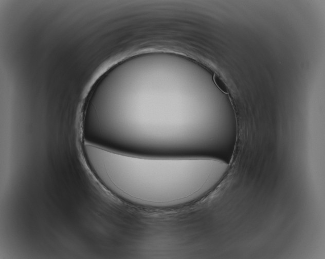 X0000088471522200705221352