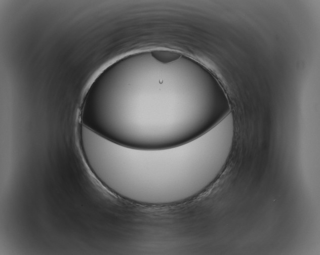 X0000088471524200705221352