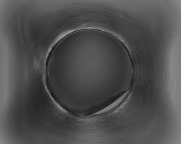 X0000088471525200705221352