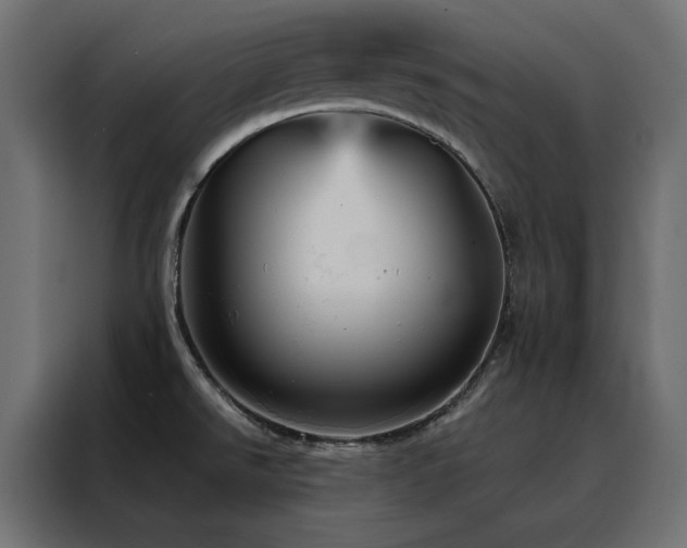 X0000088471526200705221352