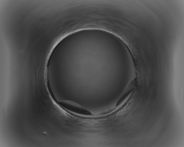 X0000088471527200705221352