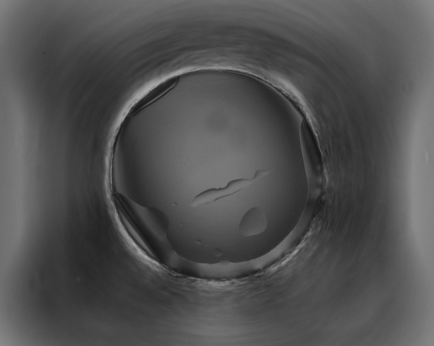 X0000088471528200705221352