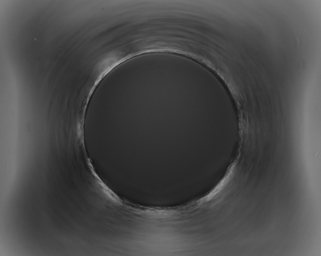 X0000088471529200705221352