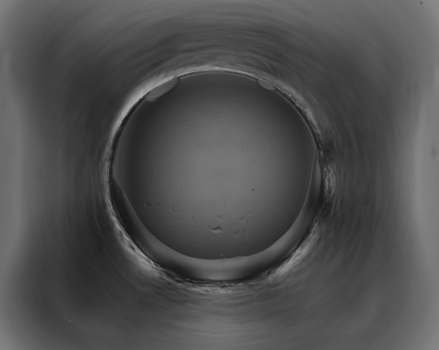 X0000088471530200705221352