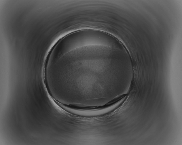 X0000088471531200705221352
