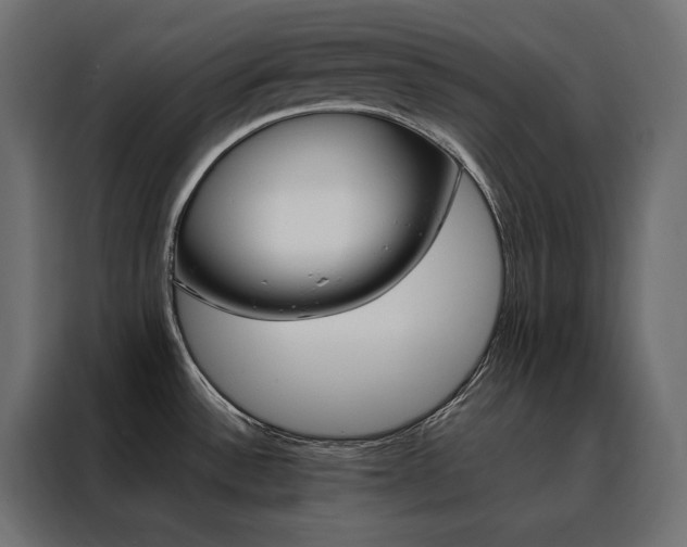 X0000088471532200705221352