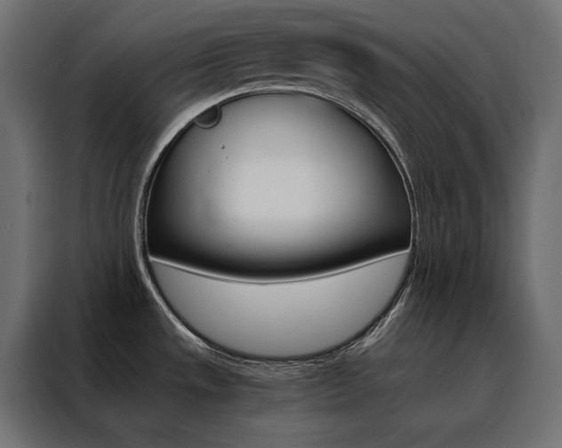 X0000088471533200705221352