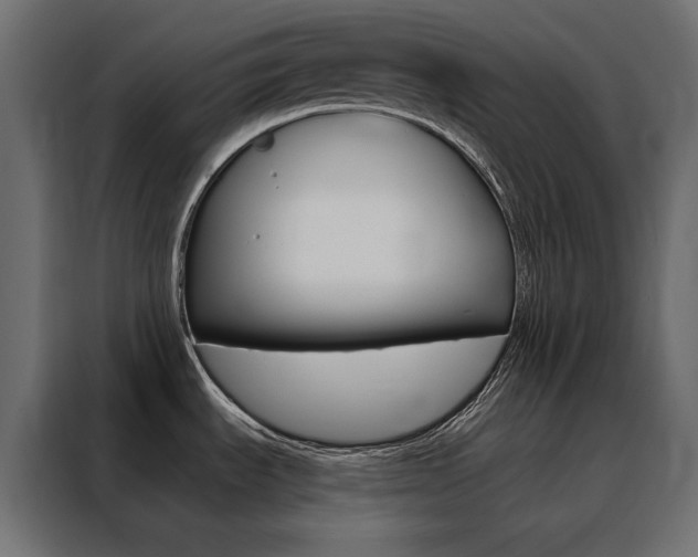 X0000088471535200705221352
