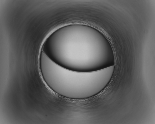 X0000088471536200705221353