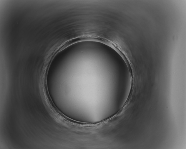 X0000088470001200705291557