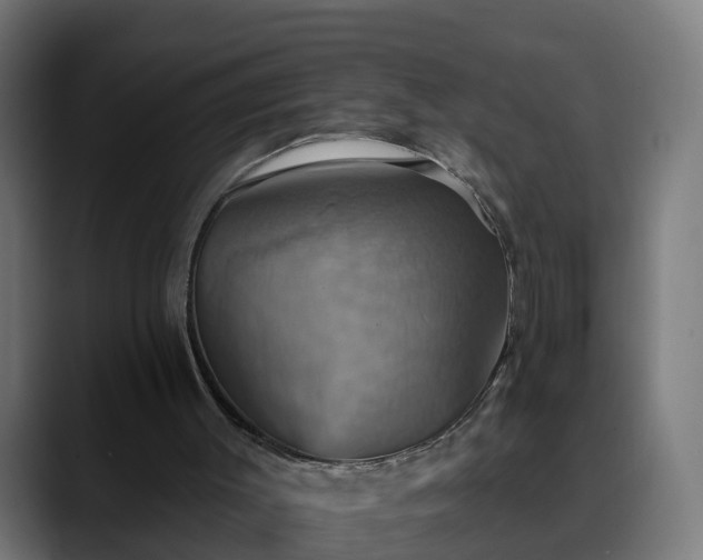 X0000088470003200705291557