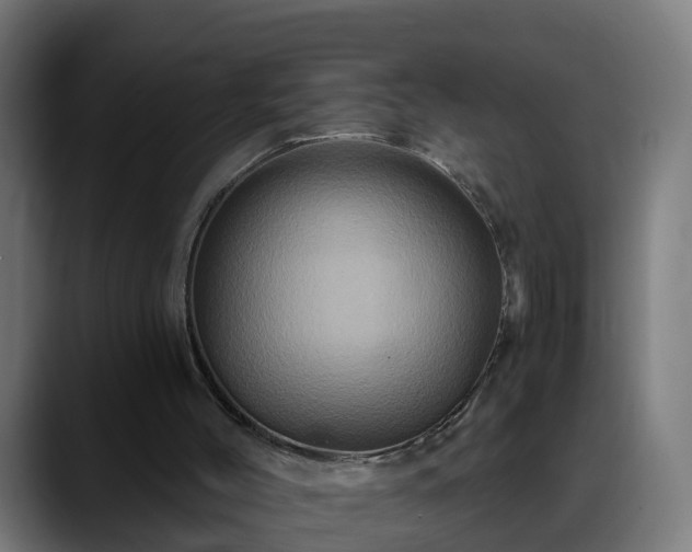 X0000088470004200705291557