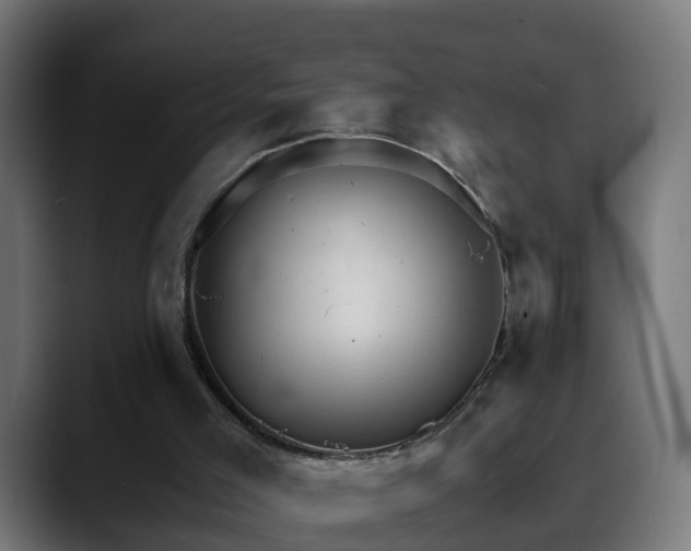 X0000088470005200705291557