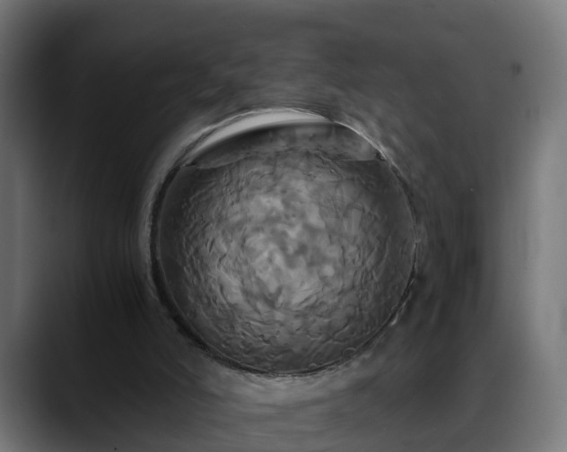 X0000088470006200705291557