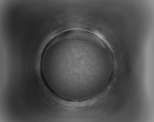 X0000088470007200705291557