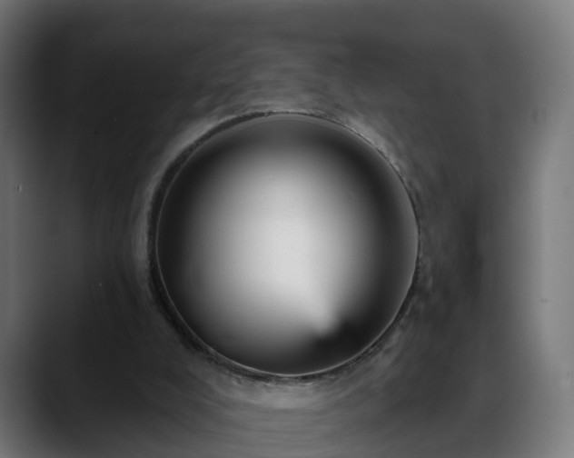 X0000088470008200705291557