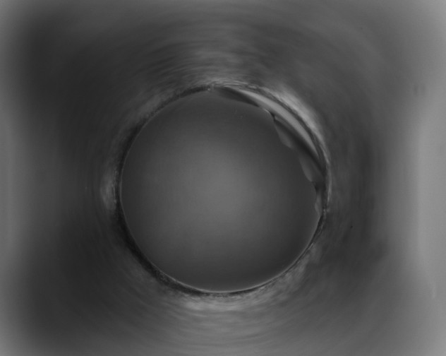 X0000088470009200705291557