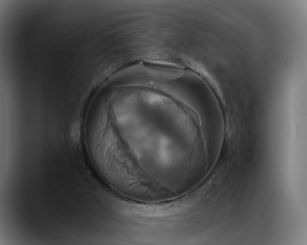 X0000088470010200705291557