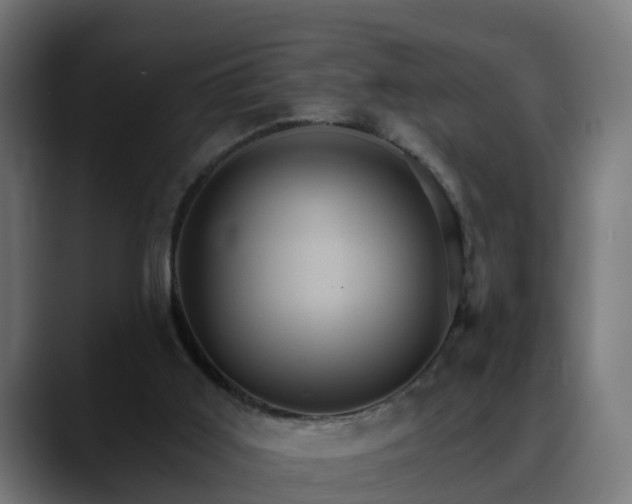 X0000088470011200705291557