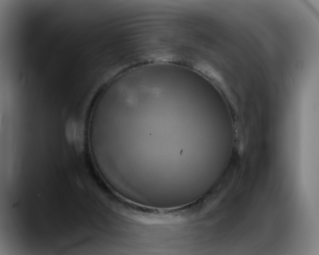 X0000088470012200705291557