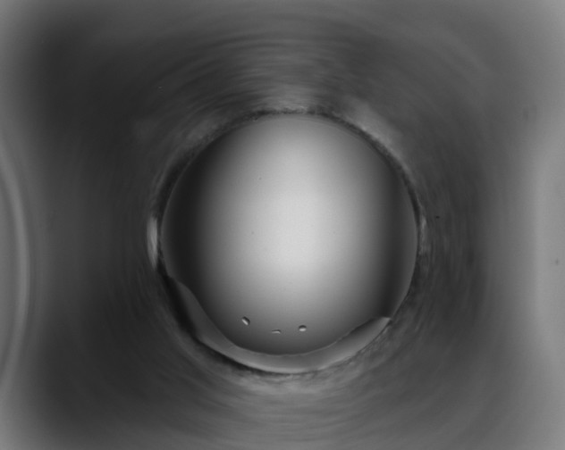 X0000088470013200705291557