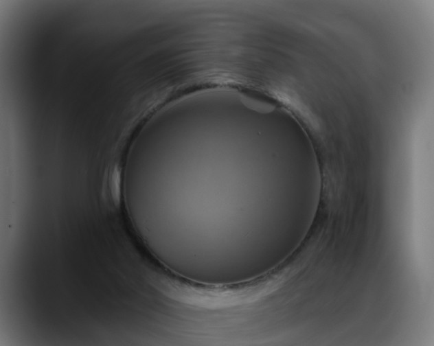 X0000088470014200705291557