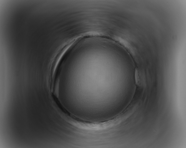 X0000088470015200705291557