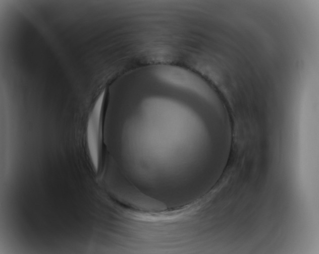 X0000088470017200705291557