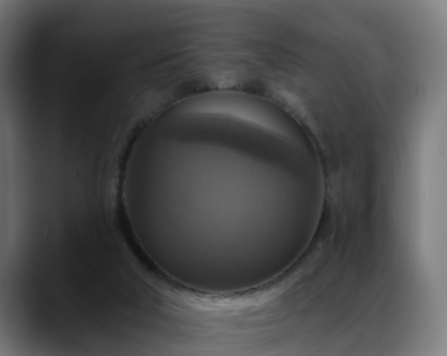 X0000088470018200705291557